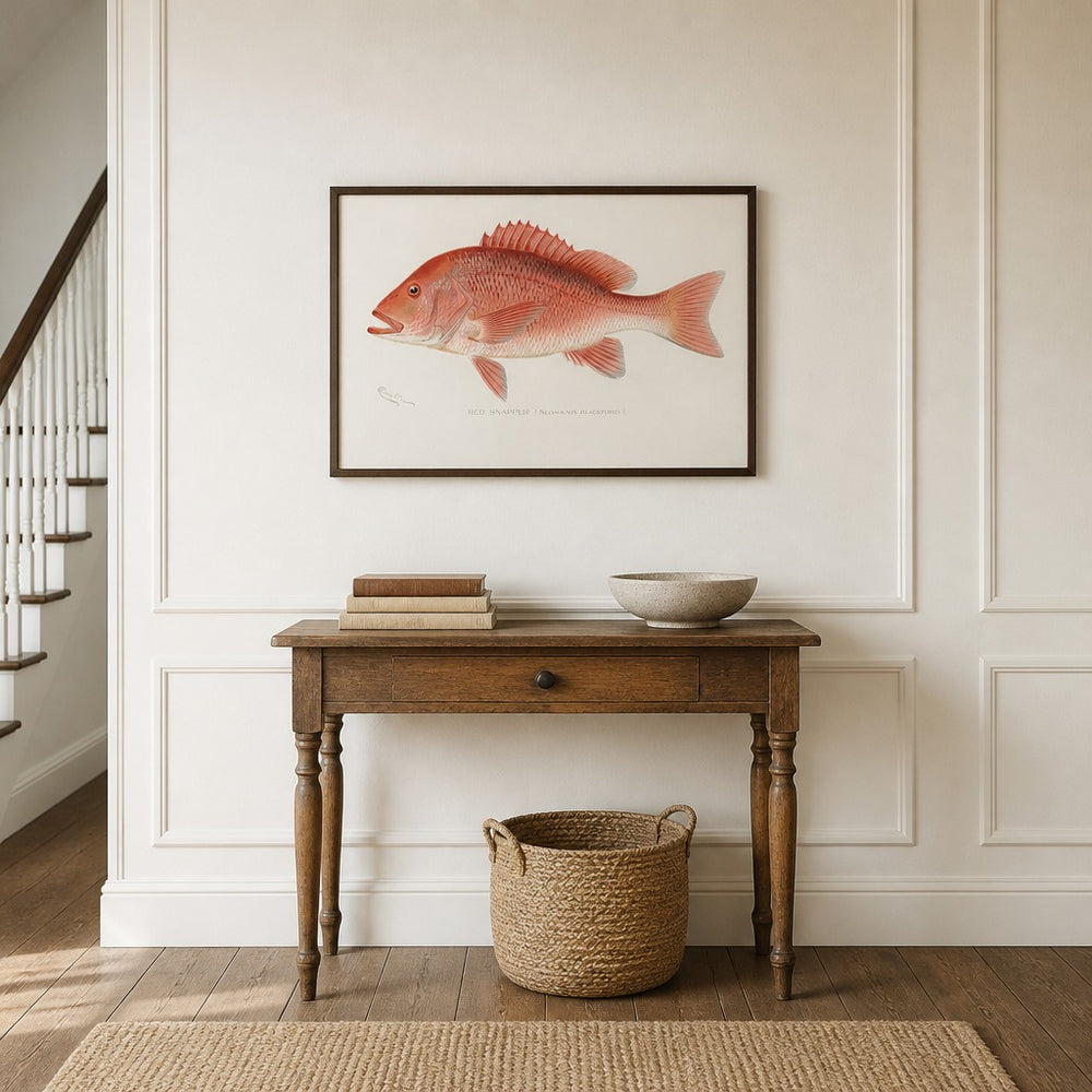 Red Snapper Vintage Fish framed in a light country home