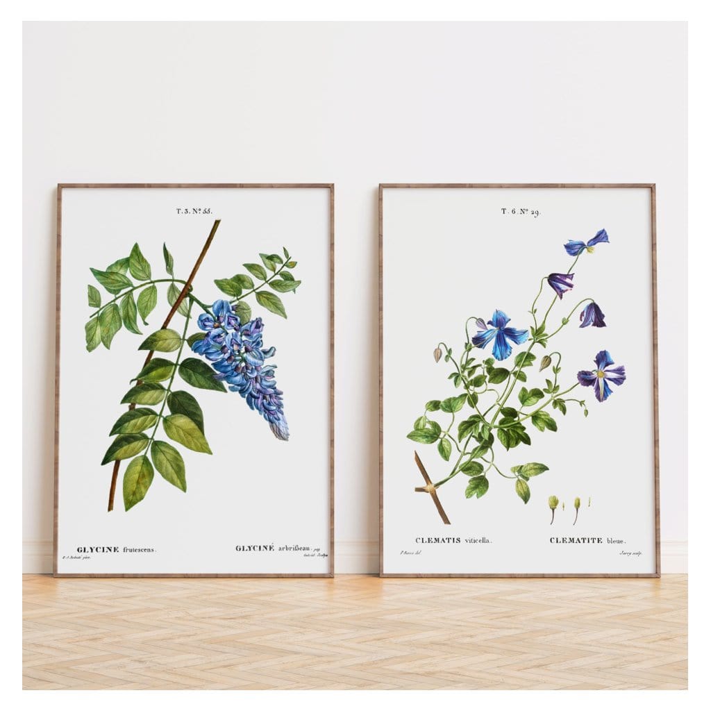 Pair of Blue Botanical Art Prints