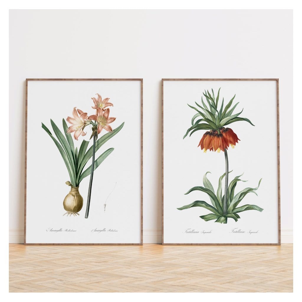Pair of Coral & Burnt Orange Botanicals Art Prints