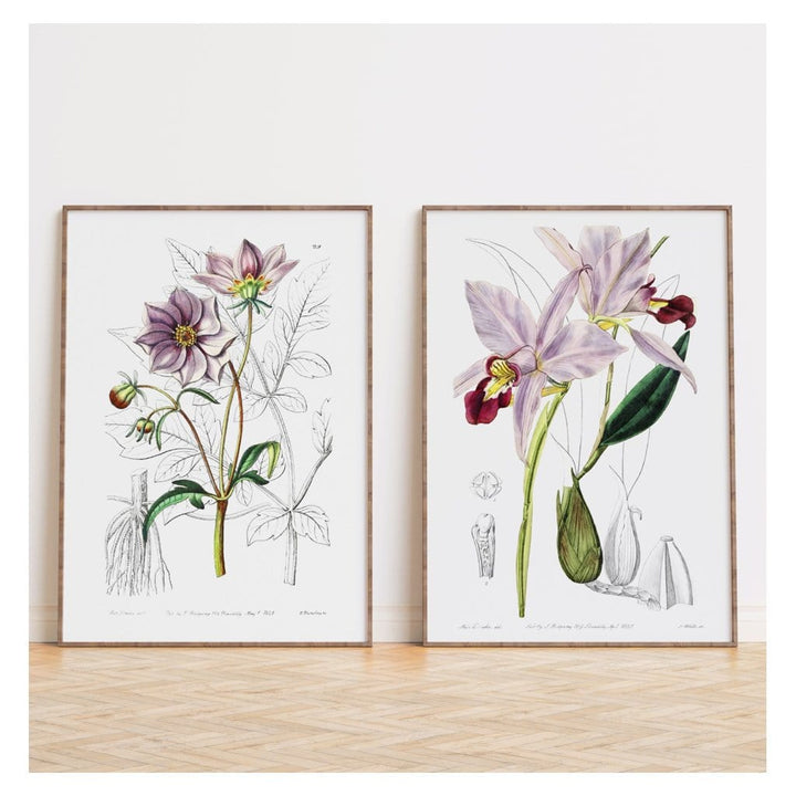 Pair of Mauve Floral Art Prints