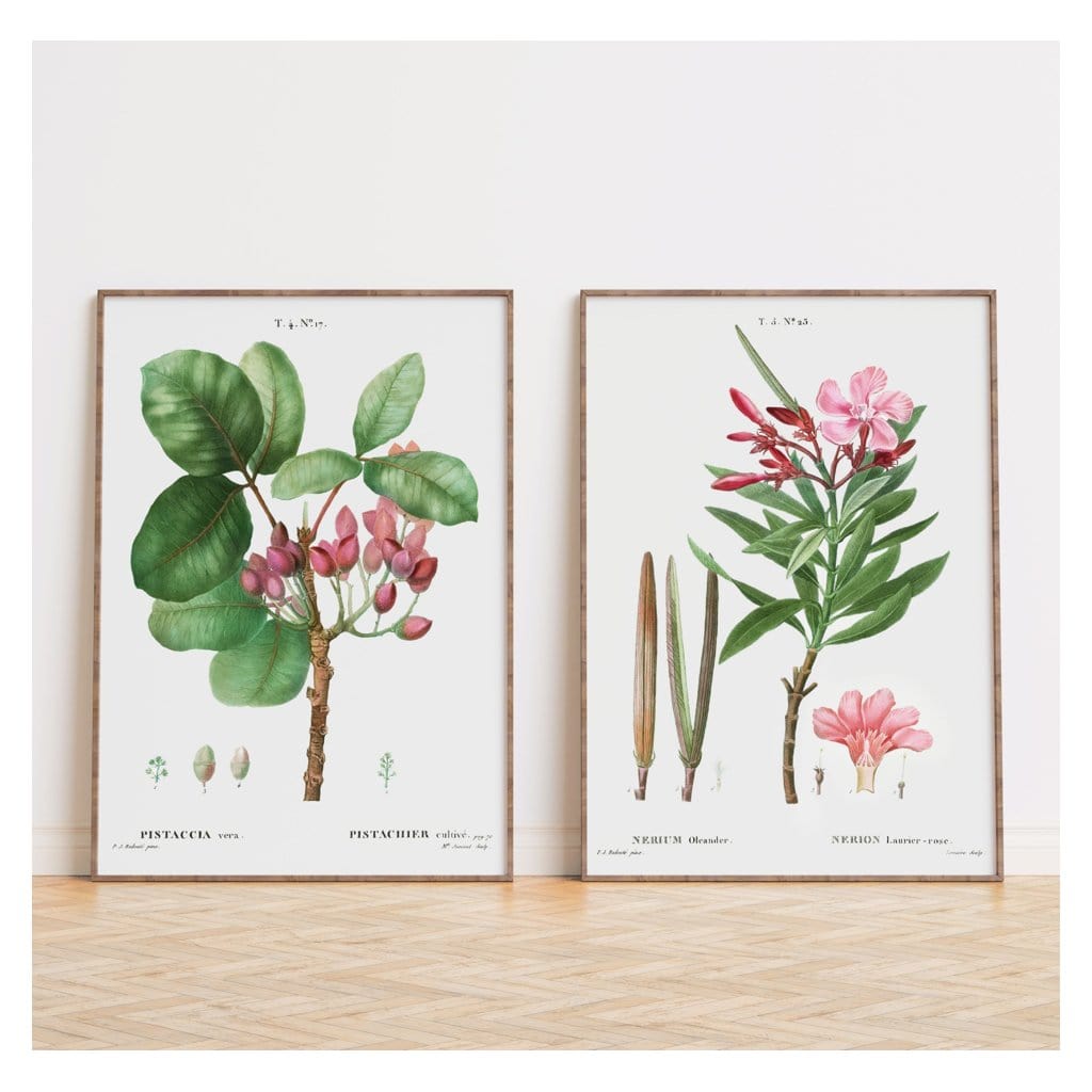 Pair of Modern Pink Botanical Art Prints