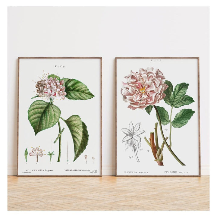 Pair of Pastel Pink Botanical Art Prints 2