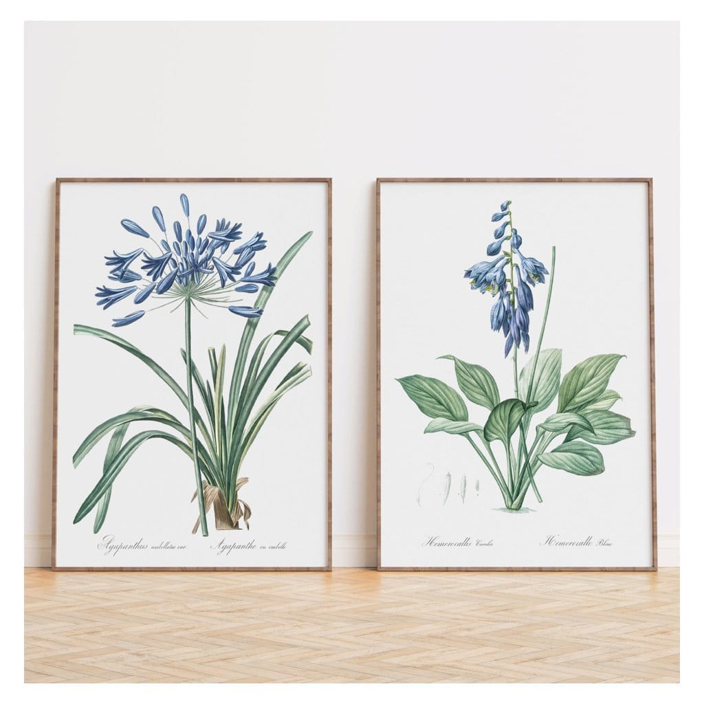 Pair of Soft Blue Botanical Art Prints
