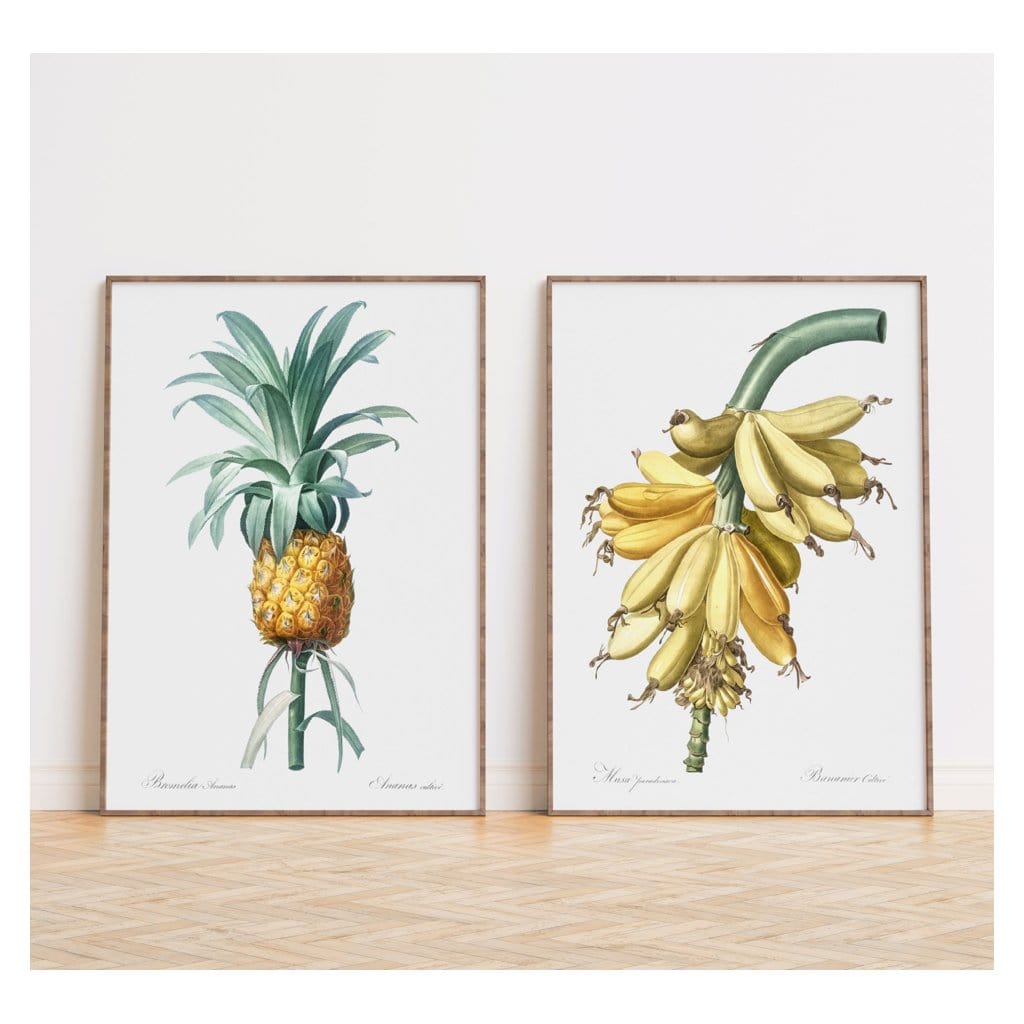 Pair of Vintage Fruit Art Prints shown in a styled room