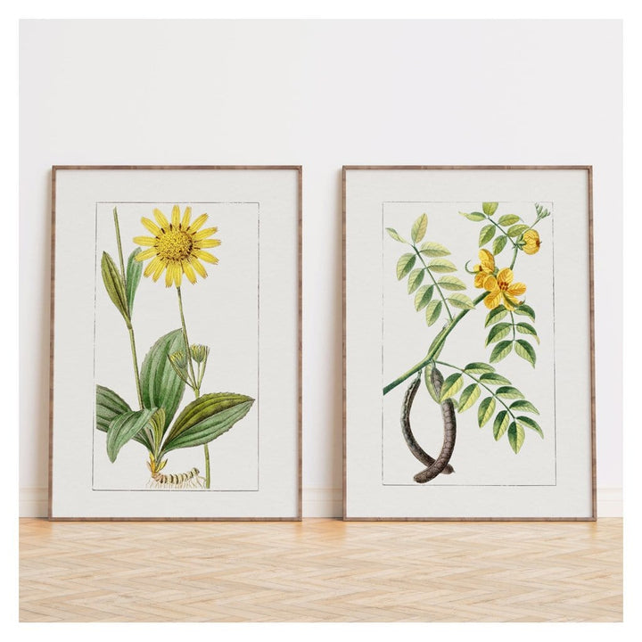 Pair of Yellow Botanical Art Prints