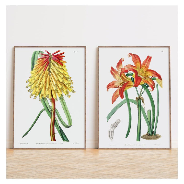 Pair of Yellow & Orange Botanical Art Prints