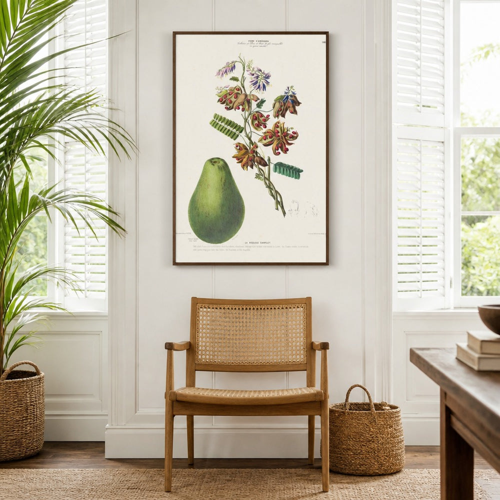 Rosary Pea Vintage Botanical Art Print in a styled room