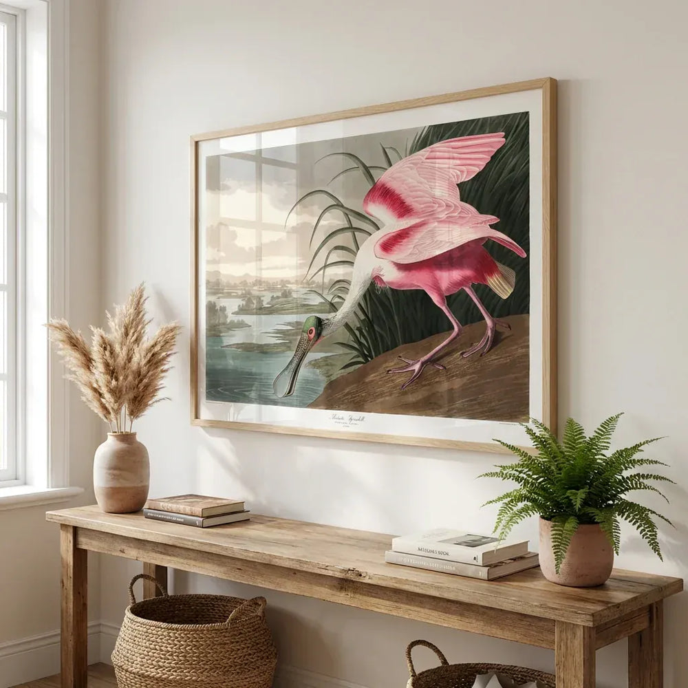 Room mockup featuring Roseate Spoonbill by John James Audubon Art Print