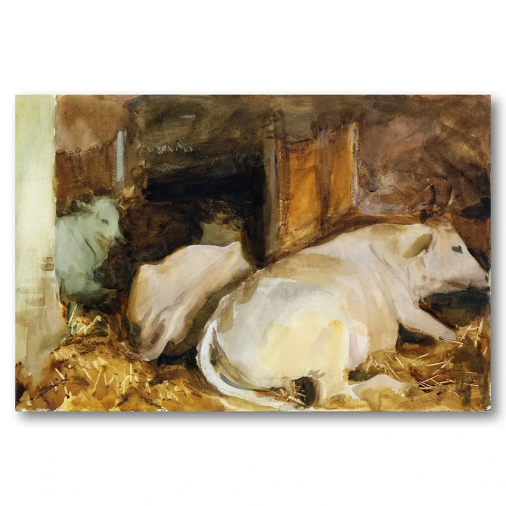 Three Oxen by Sargent Art Print