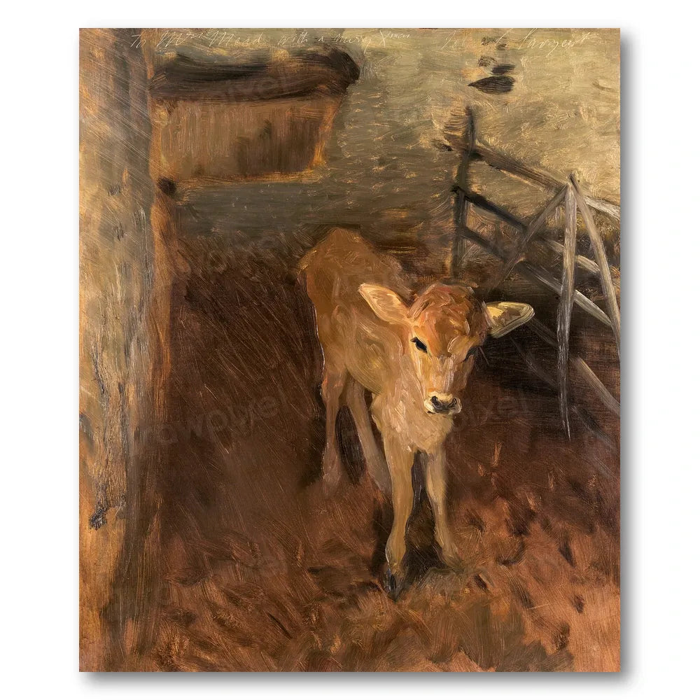 A Jersey Calf by Sargent Art Print