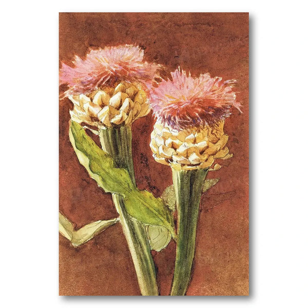 Thistle by Sargent Art Print