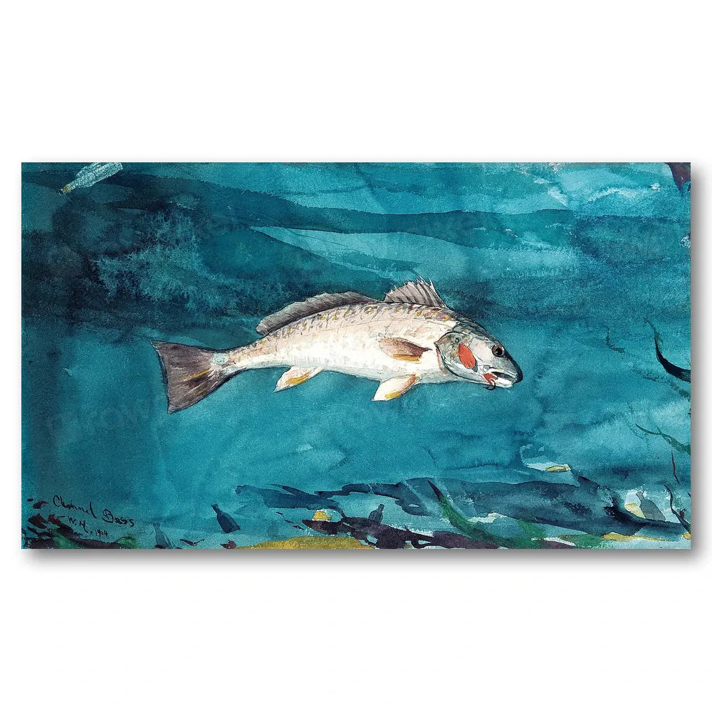 Channel Bass by Winslow Homer Art Print