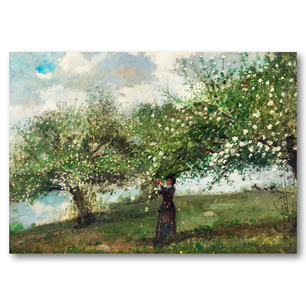 Girl Picking Apple Blossoms by Winslow Homer Art Print