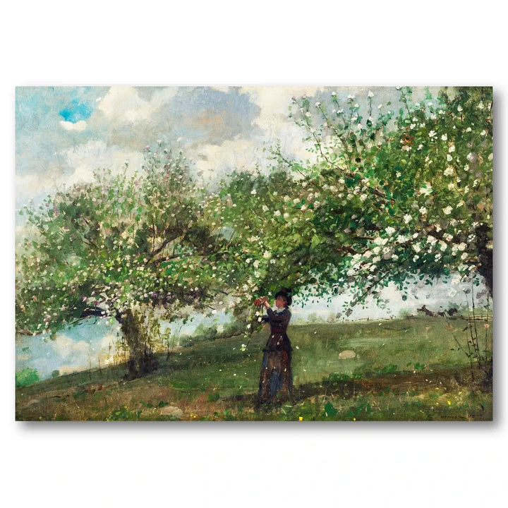 Girl Picking Apple Blossoms by Winslow Homer Art Print