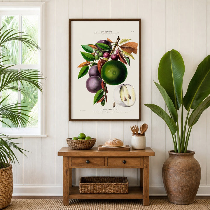 Star Apple Vintage Botanical Art Print in a styled room