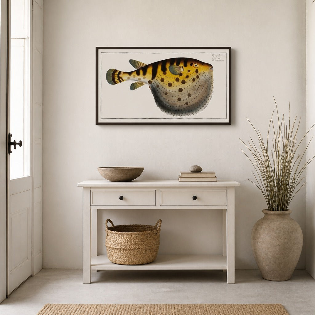 Starry Globe-fish Illustration framed in a light country home