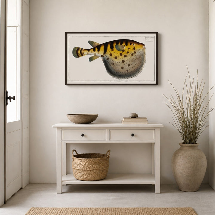 Starry Globe-fish Illustration framed in a light country home