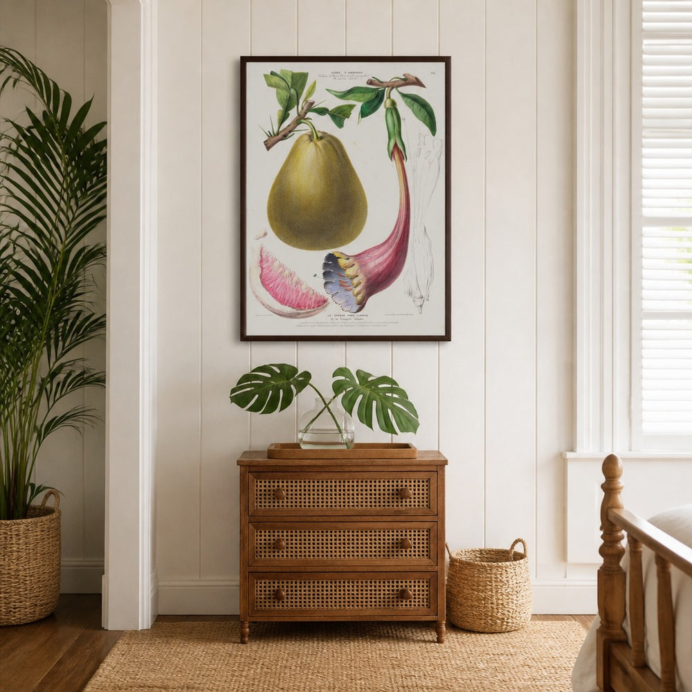 Sweet Lime and Chalice Vine Vintage Botanical Art Print in a styled room