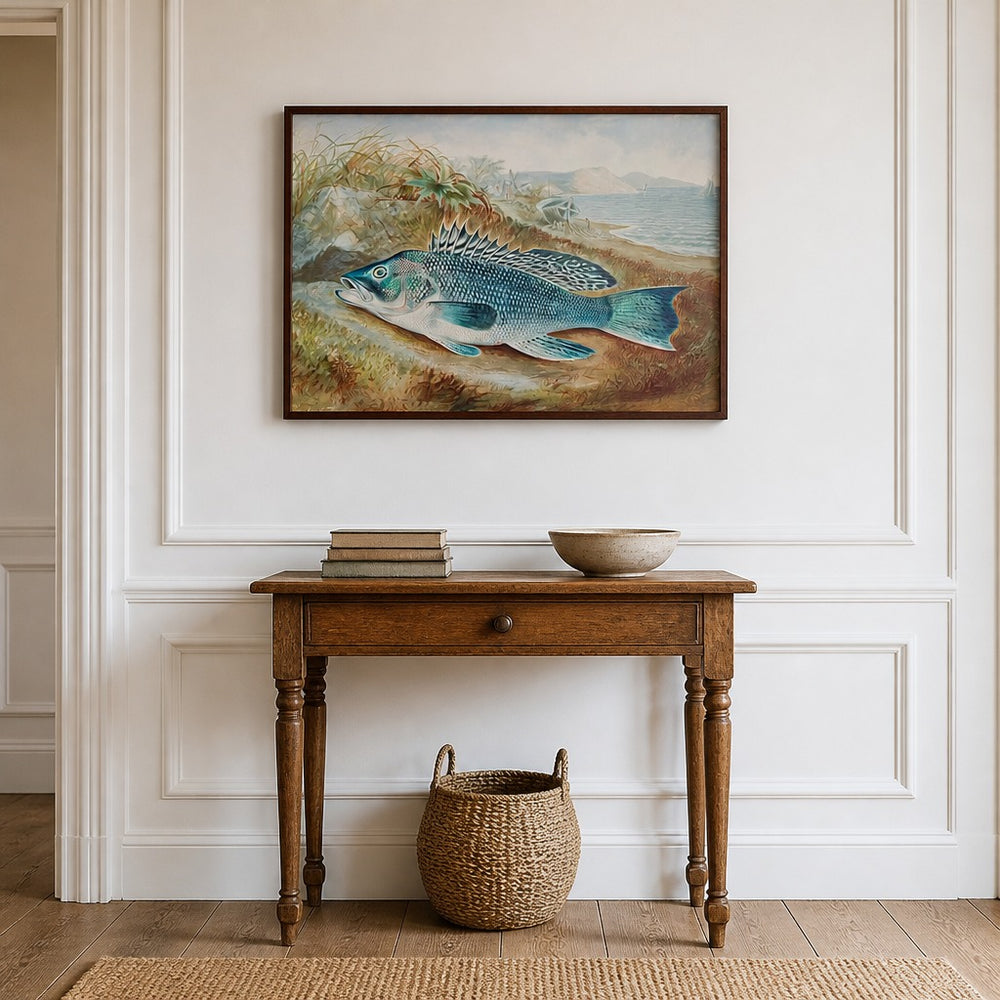 The Sea Bass Fish Print By Samuel Kilbourne framed in a light country home