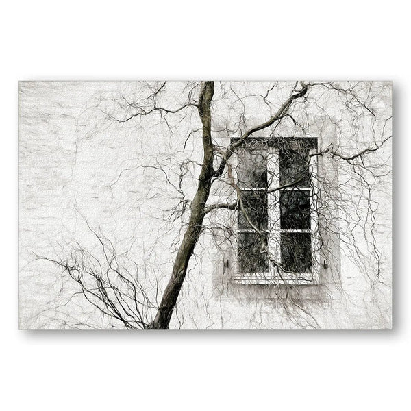 Veiled Branches Over Window Photo Print
