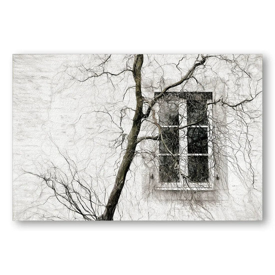 Veiled Branches Over Window Photo Print