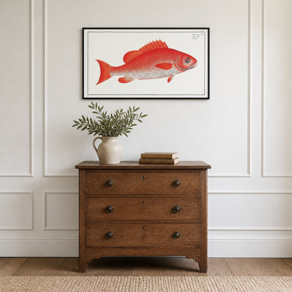Vibrant Bodianus Aya Fish framed in a light country home