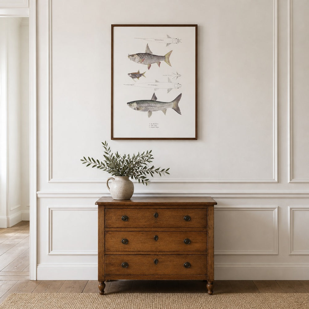 Vintage Fish Illustration 1 framed in a light country home