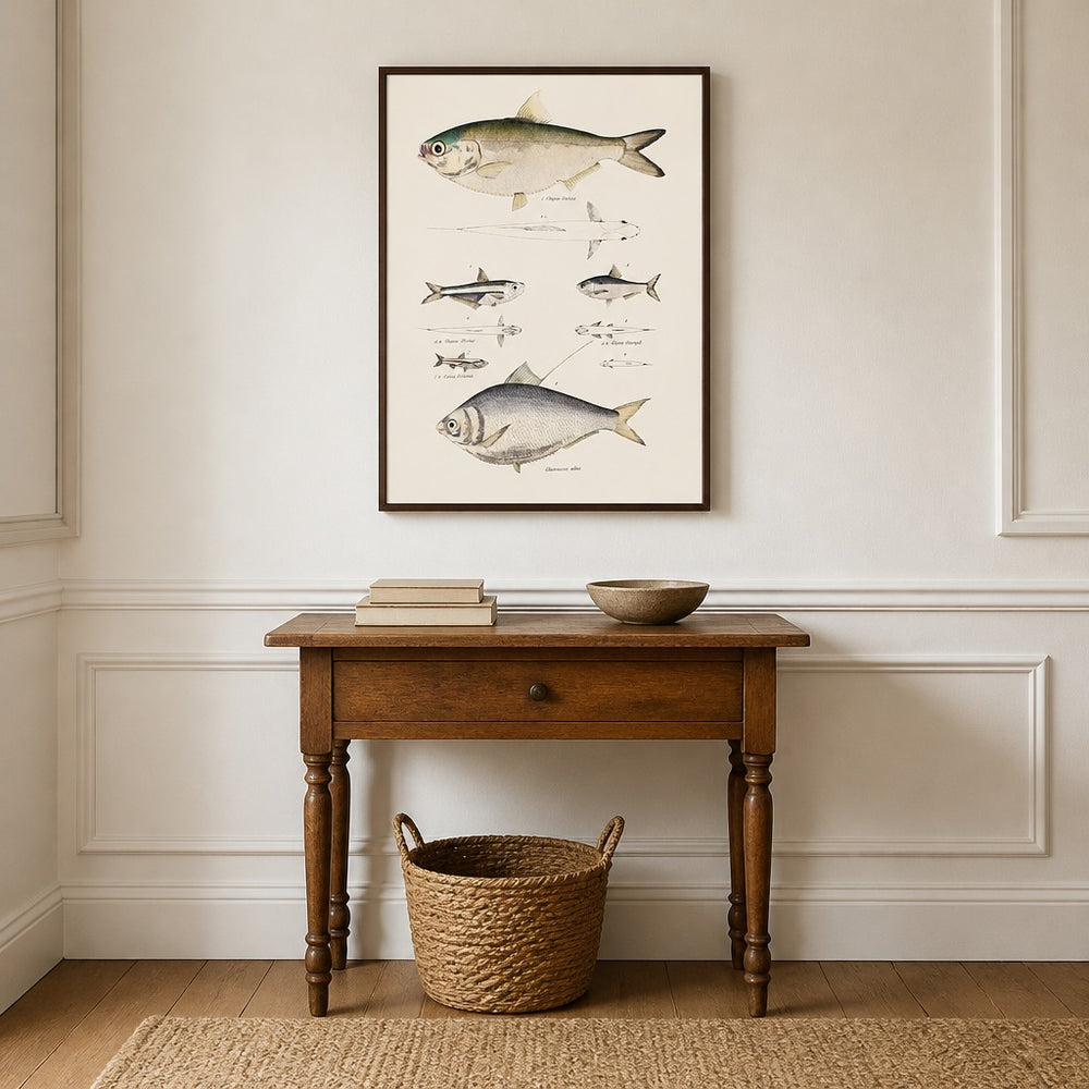 Vintage Fish Illustration 2 framed in a light country home