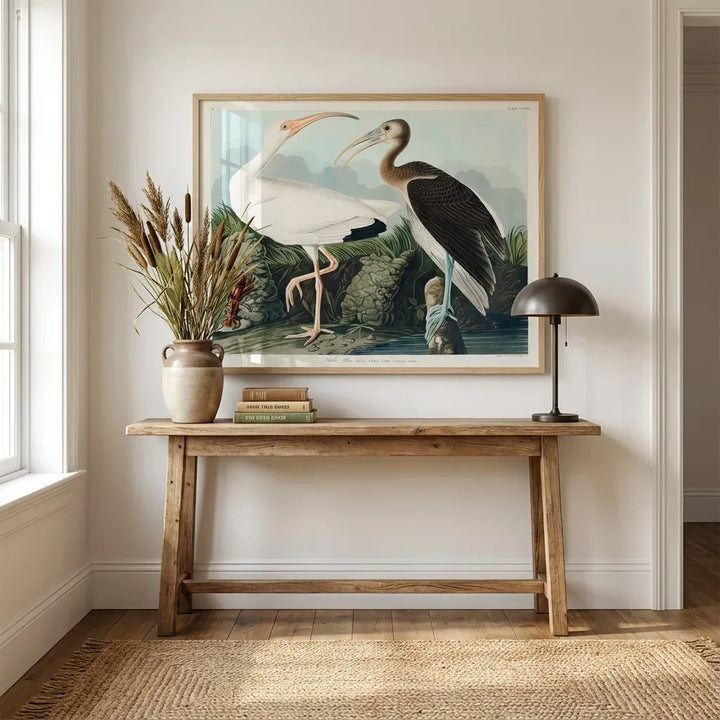 Room mockup featuring White Ibis by John James Audubon Art Print