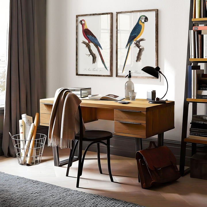 Pair of Vintage Macaw Art Prints