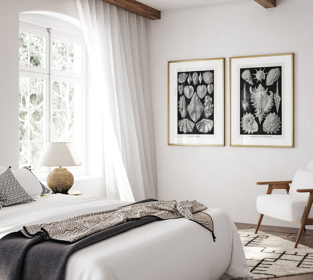 Pair of Black & White Shell Art Prints shown in a styled room
