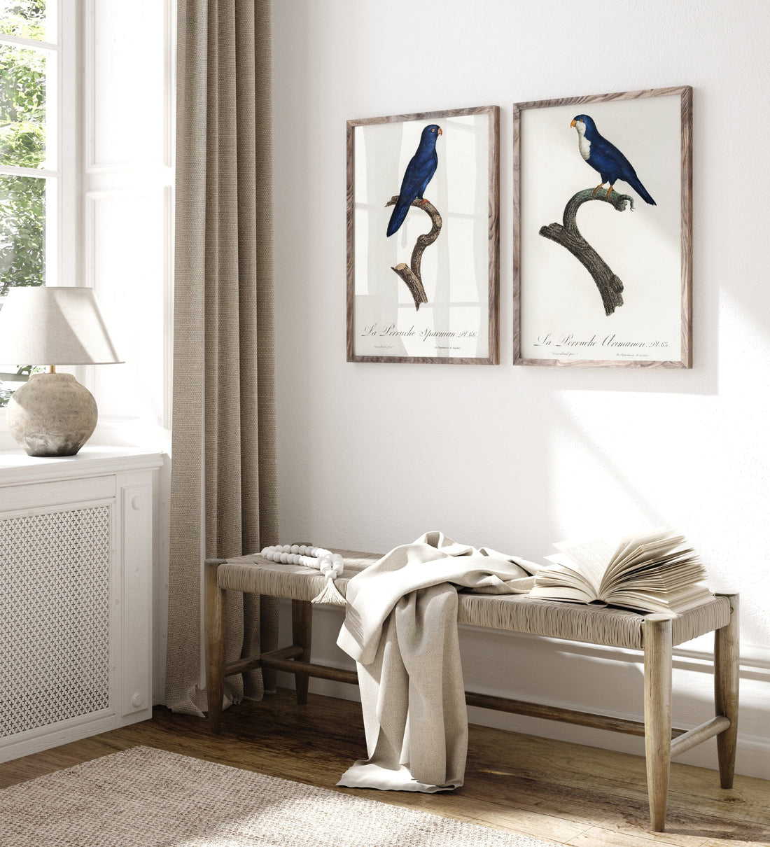 Pair of Navy Blue Parakeet Art Prints shown in a styled room