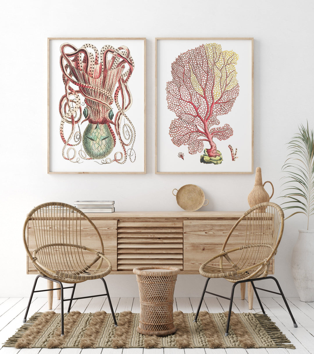 Cuttle & Coral Art Prints Pair