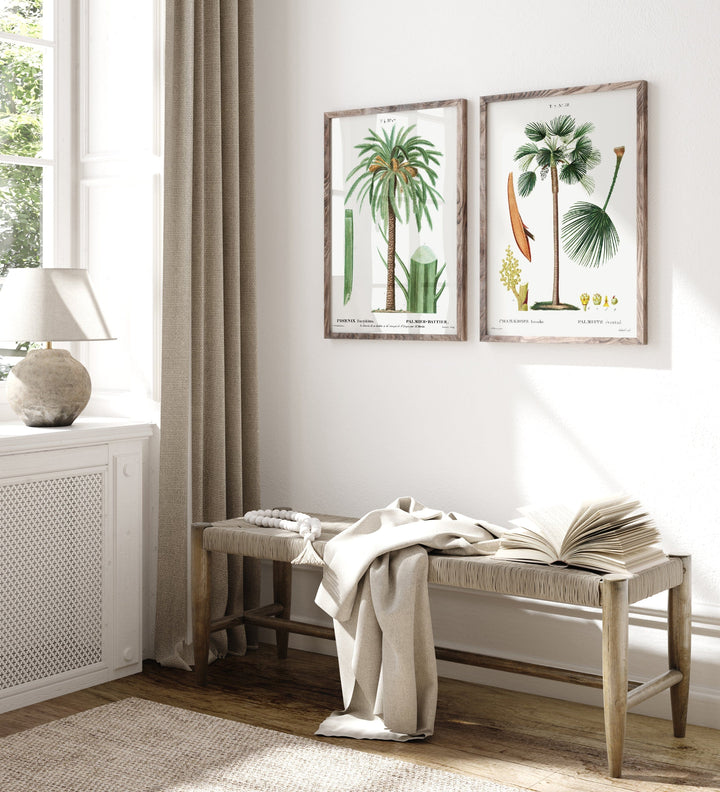 Vintage Date & Fan Palm Art Print Pair