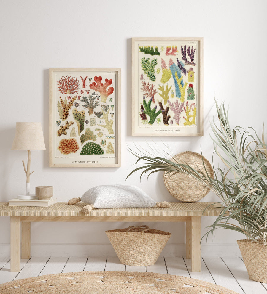 Great Barrier Reef Corals Art Print Pair