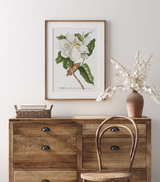 Magnolia Flower Botanical Art Print