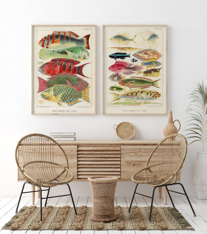 Great Barrier Reef Vintage Fish Art Print Pair