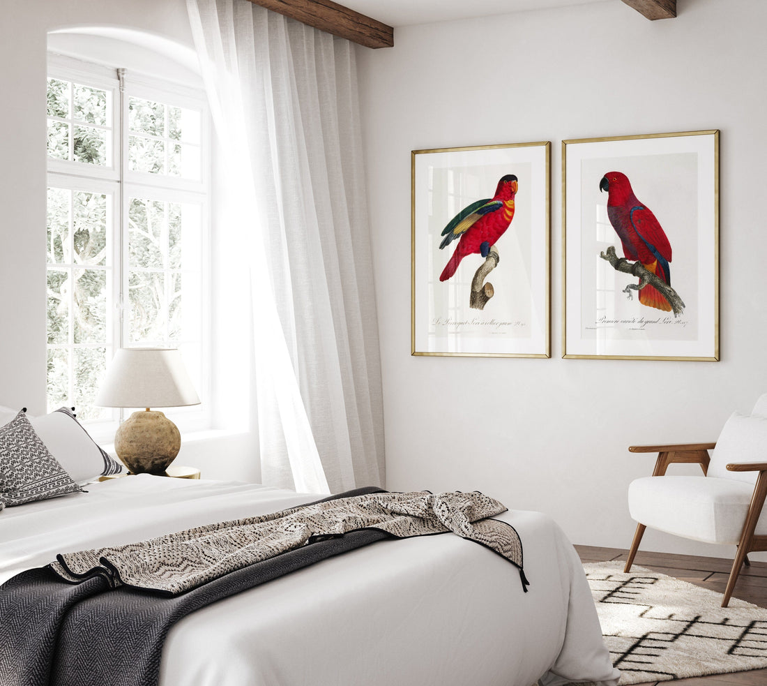 Pair of Red Parrot Art Prints shown in a styled room