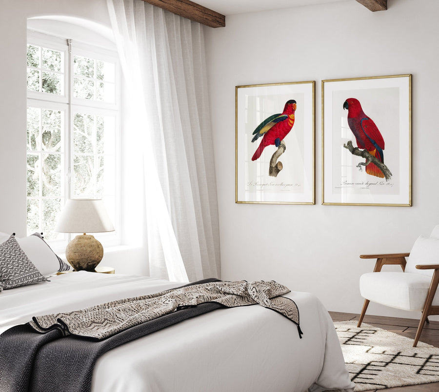 Pair of Red Parrot Art Prints