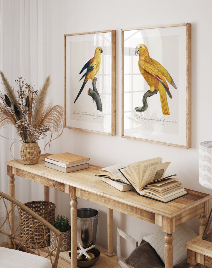Pair of Yellow Parrot Art Prints