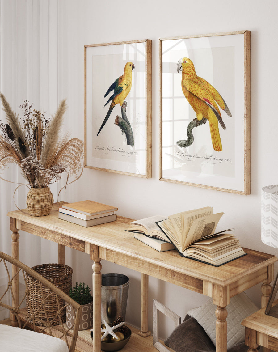 Pair of Yellow Parrot Art Prints