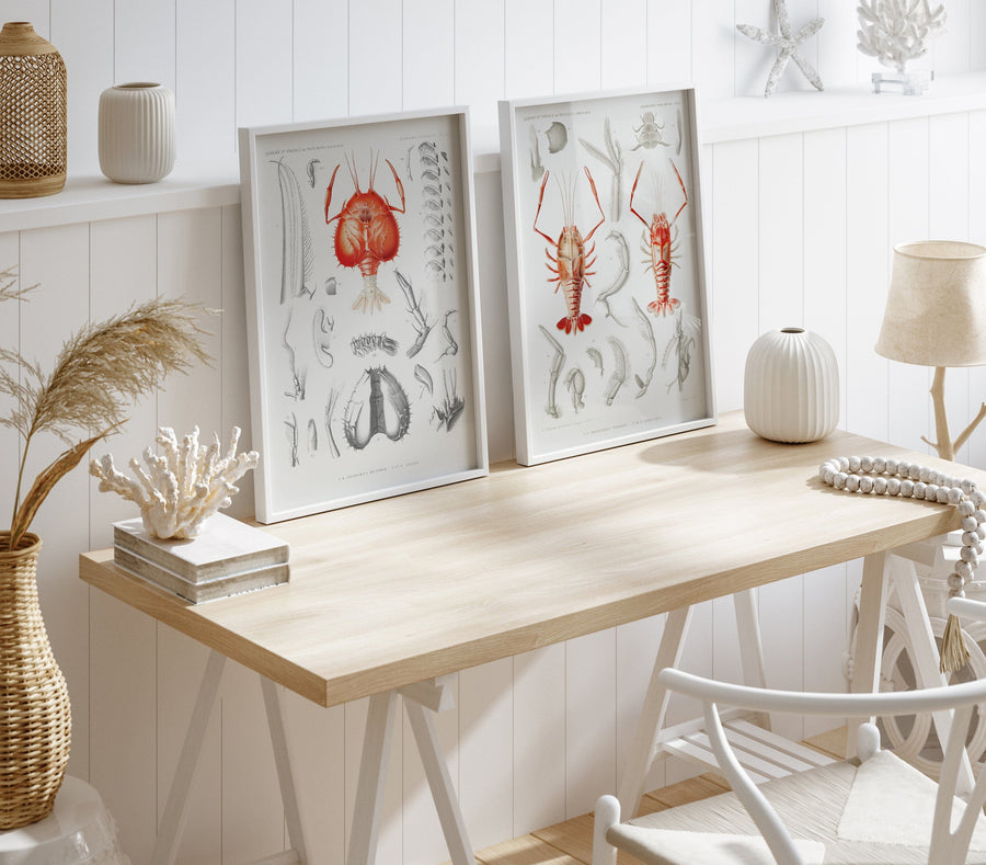 Crustacean Illustrations Wall Art Prints (Set of 2)