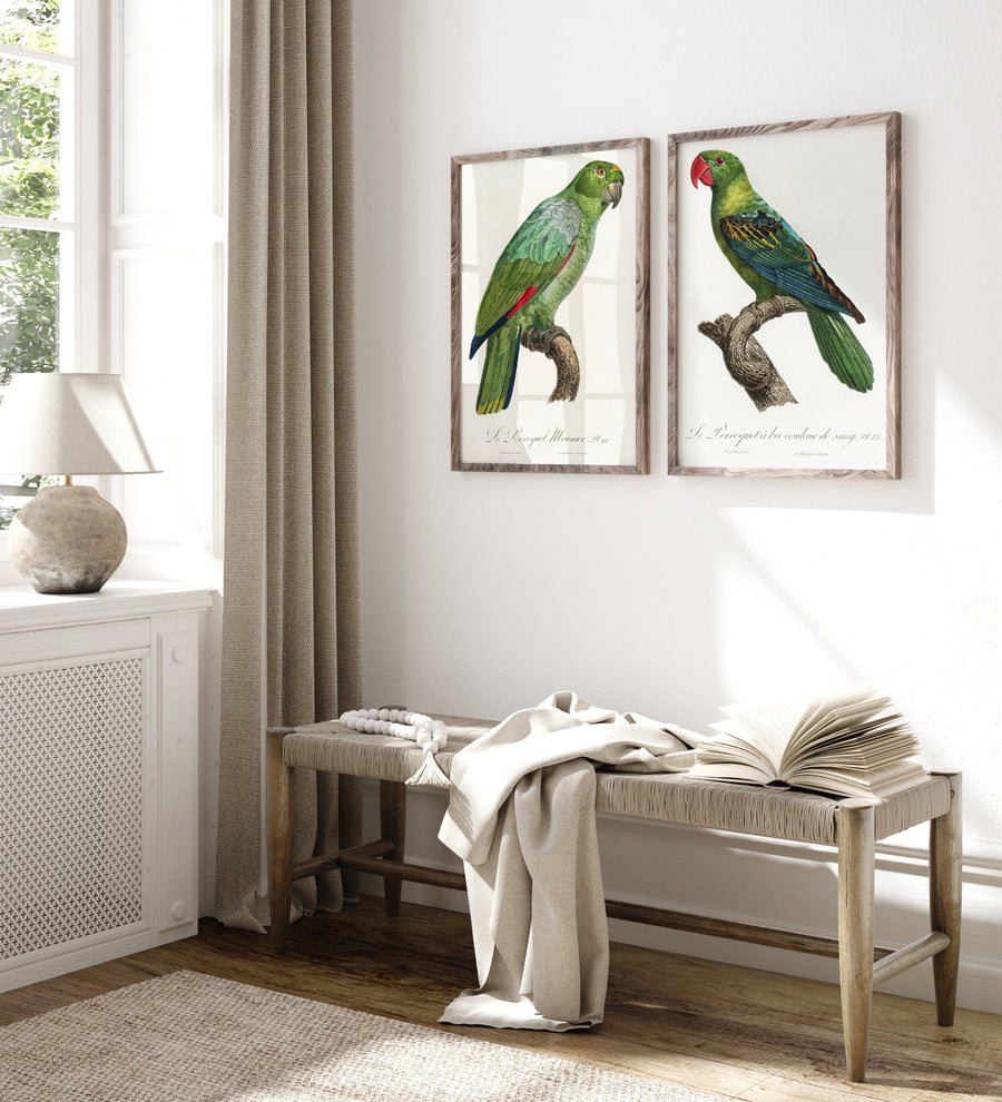Pair of Luscious Green Parrot Art Prints