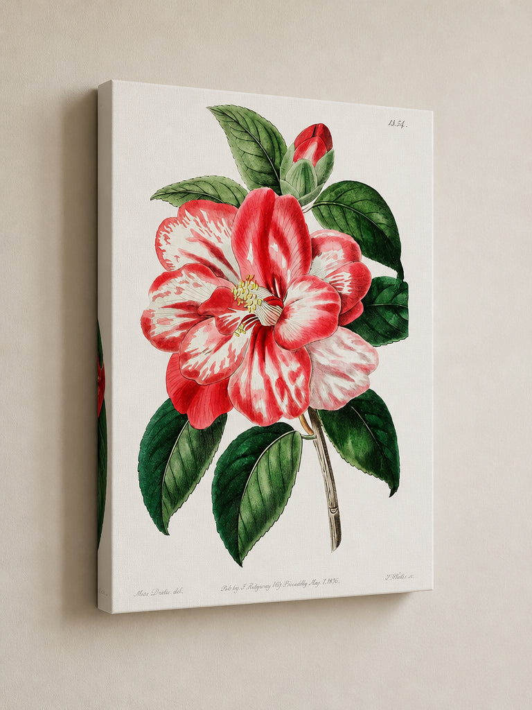 Botanical art print shown on a mirror-wrap canvas